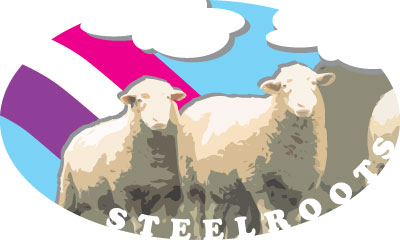 steelroots sticker